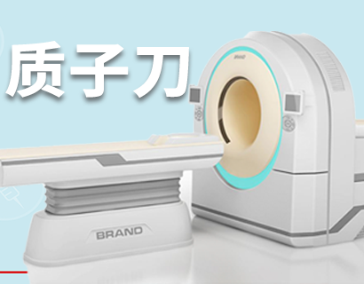 质子重离子专家咨询