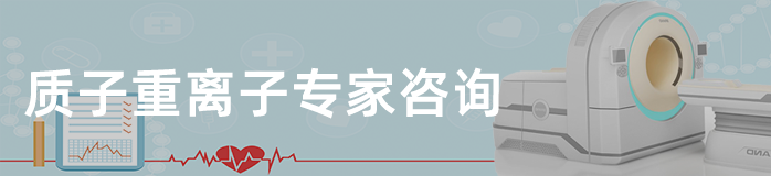 质子重离子专家咨询
